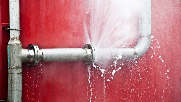 Best Flood damage cleanup  in Fetters Hot Springs Agua Liente, CA